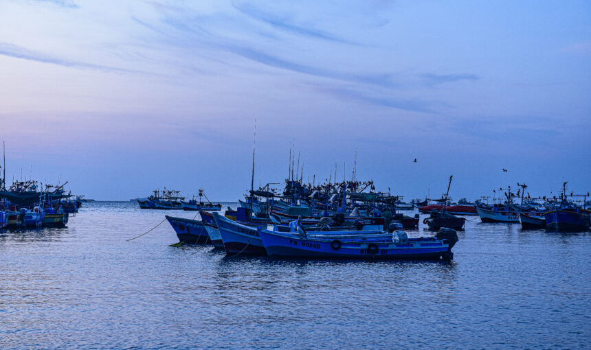 Paracas and the Ballestas Islands